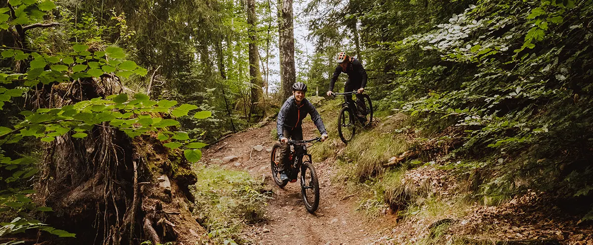 Två personer som cyklar på en stig i skogen.