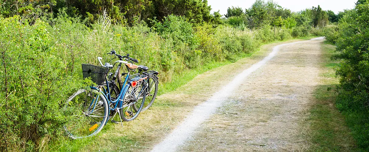 Två cyklar står parkerade bredvid grus-stig omgiven av grönska.