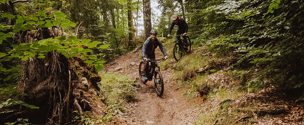 Två personer som åker efter varandra på mountainbike ner för en stig i backe i en skog.