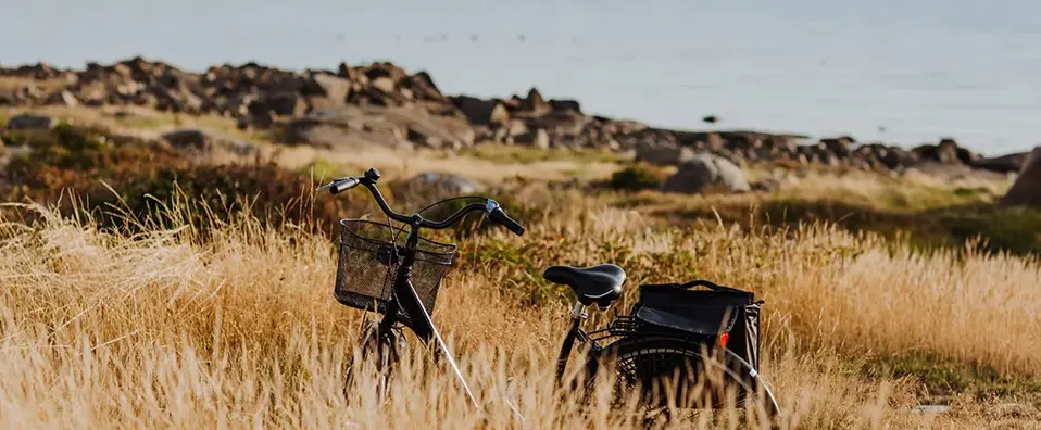 Cykel står parkerad bland högt gräs med klippor och havet i bakgrunden.